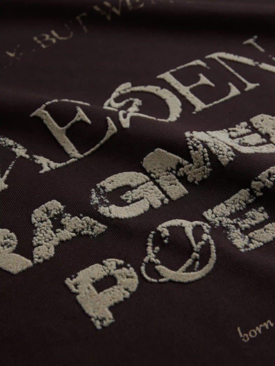 Aeden Fabien Tee Ganache Bruin