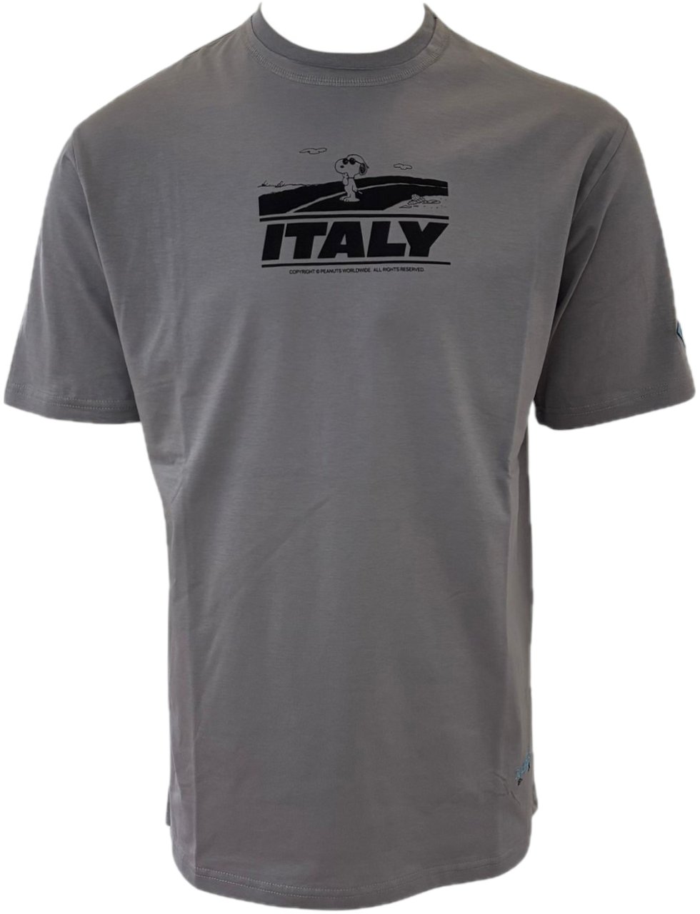 Iceberg T-shirt grijs Italy Grijs