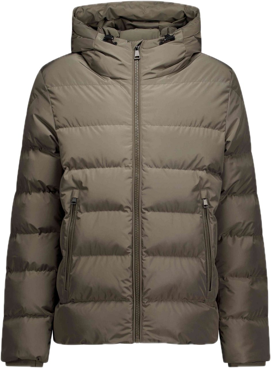 Airforce Robin Jacket Bruin