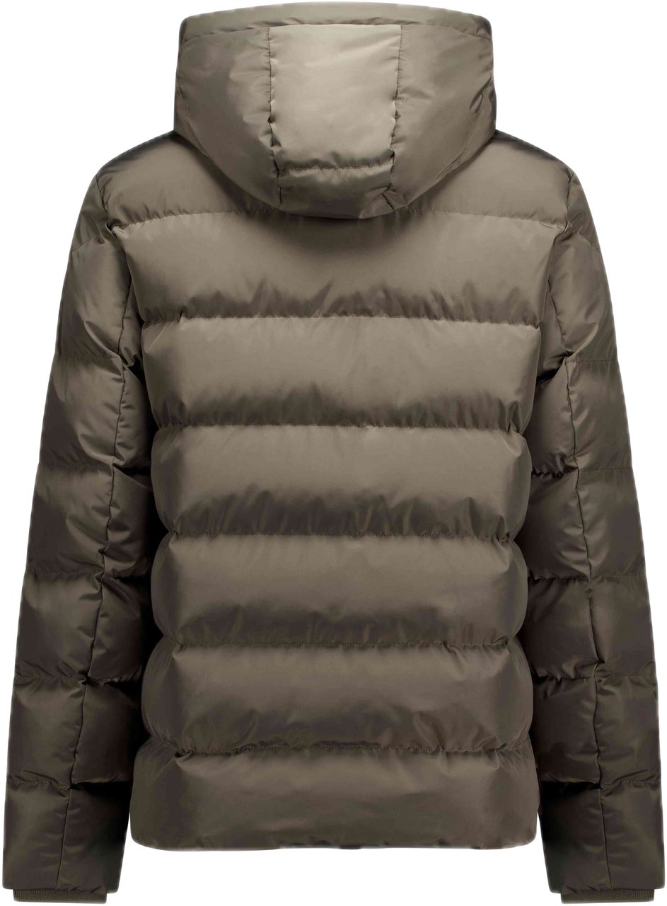 Airforce Robin Jacket Bruin