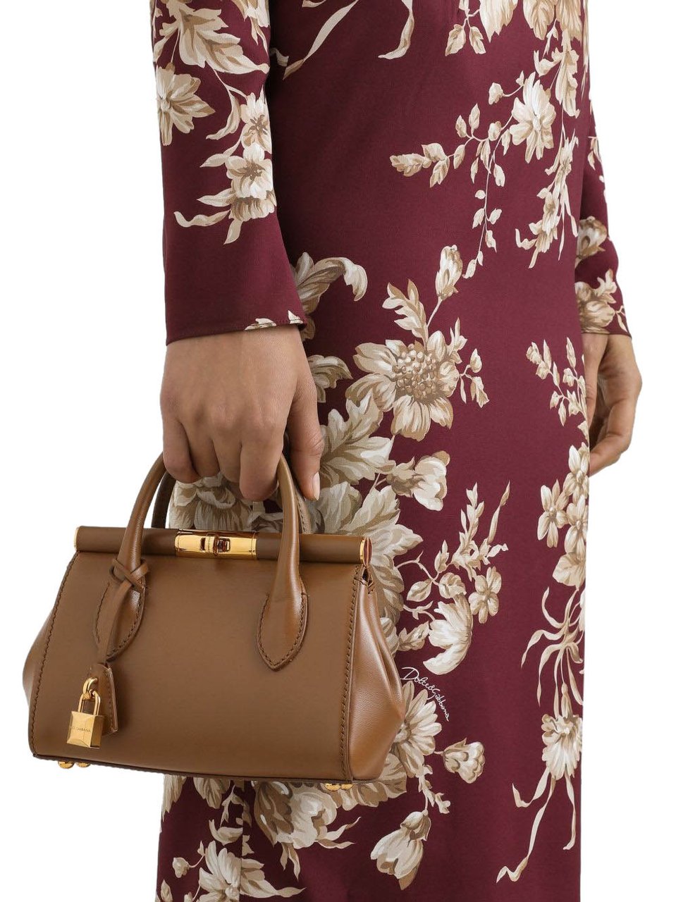 Dolce & Gabbana Bags Brown Bruin