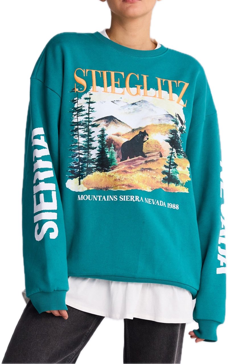 Stieglitz Alejandro Sweater Groen