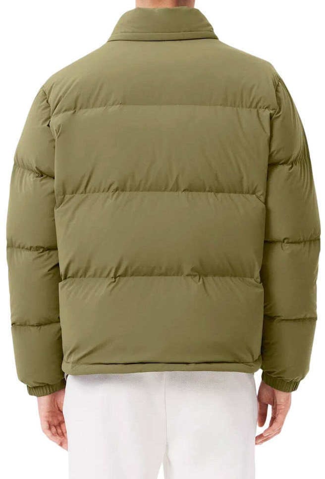 Lacoste jacket khaki Groen