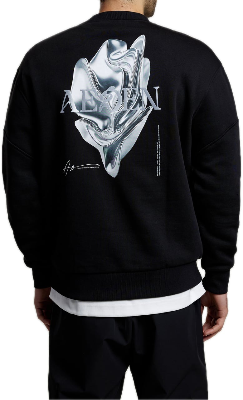 Aeden Moshin Sweater Black Zwart