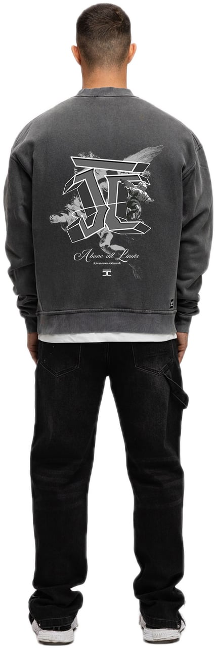 JORCUSTOM AboveAllLimits Fl Sweater AcidGrey Grijs