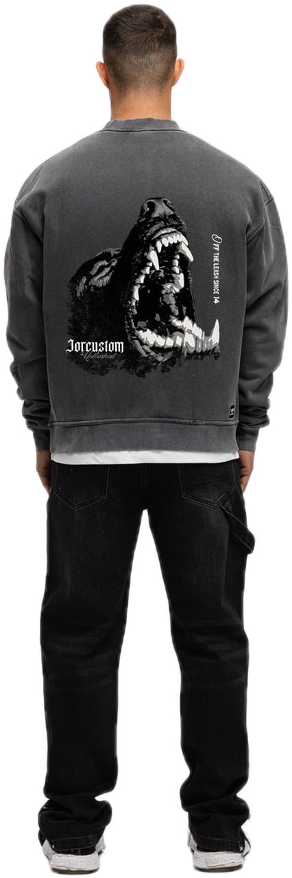 JORCUSTOM Unleashed Fl Sweater AcidGrey Grijs
