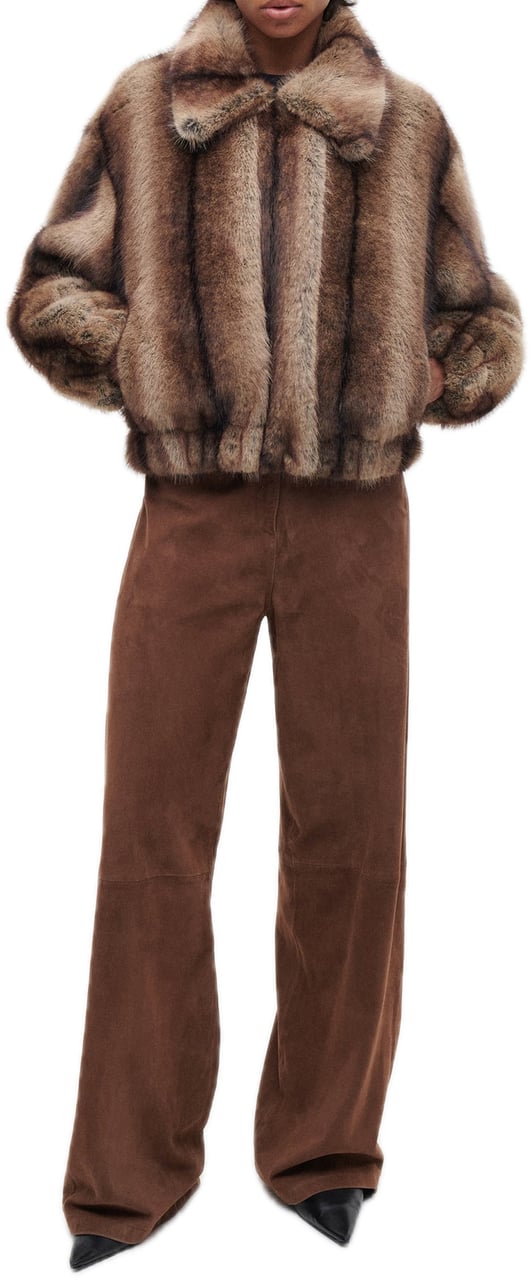 Studio AR Lucy fox Bruin