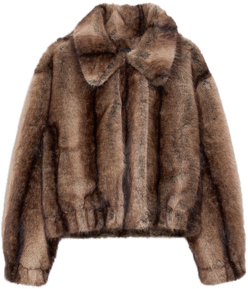 Studio AR Lucy fox Bruin