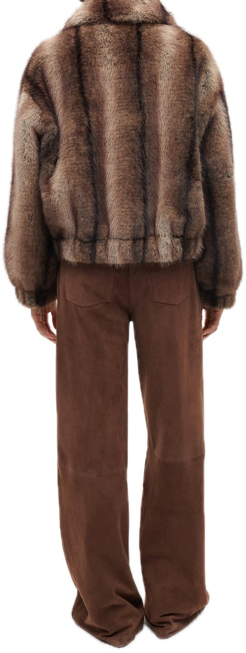 Studio AR Lucy fox Bruin