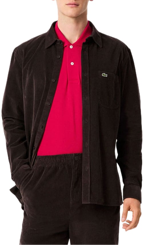 Lacoste Shirt bruin corduroy Bruin