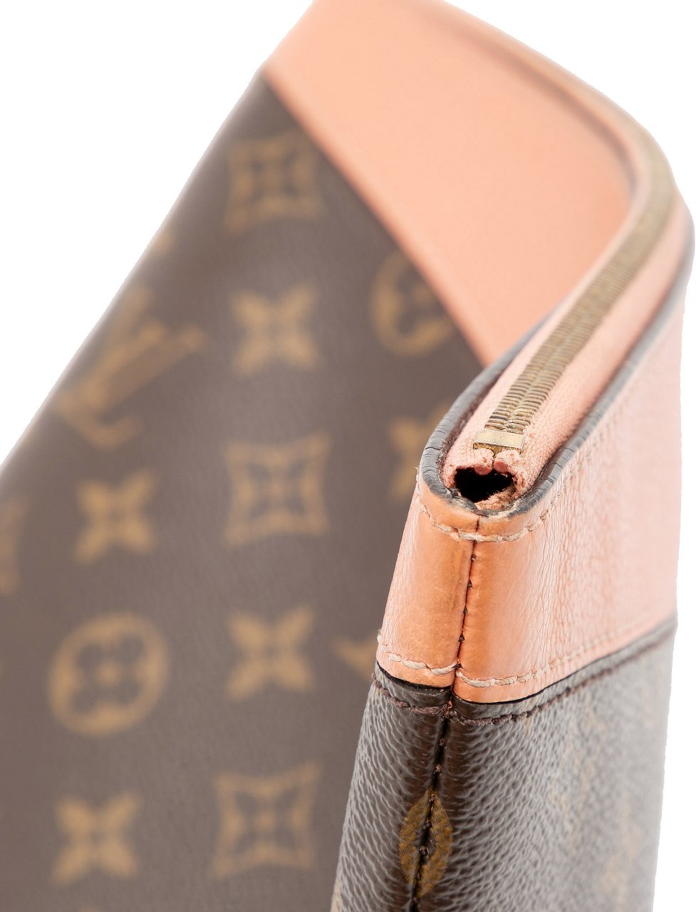 Louis Vuitton Monogram Daily Pouch Bruin