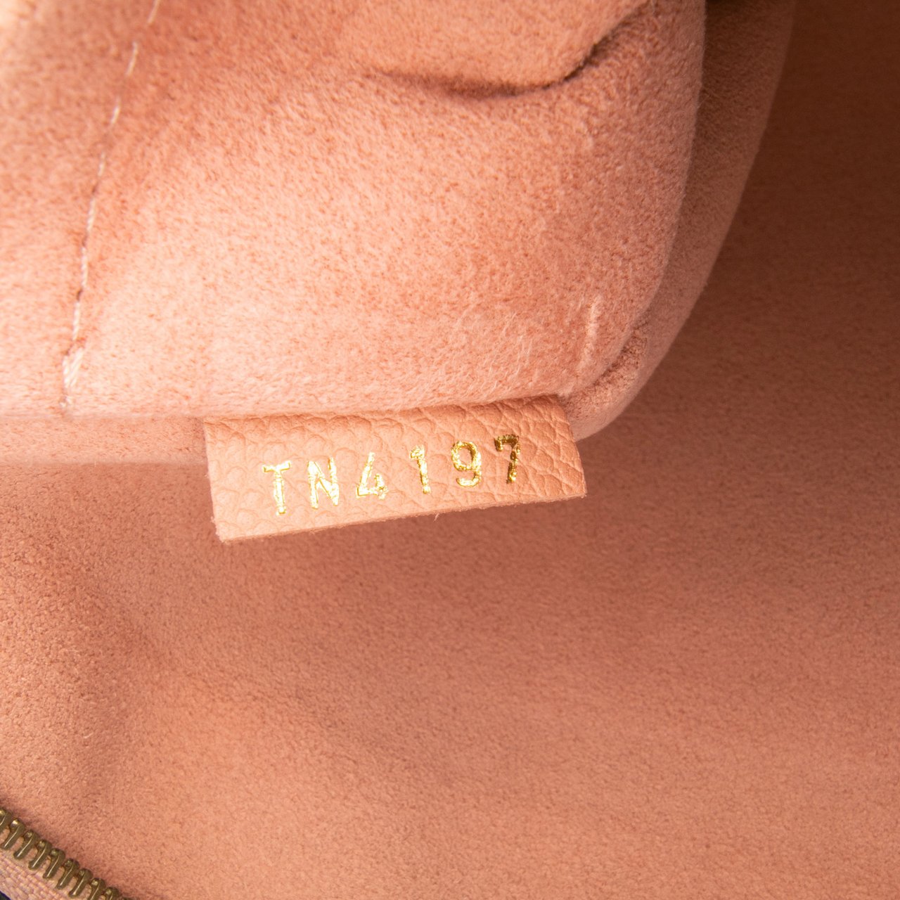 Louis Vuitton Monogram Daily Pouch Bruin