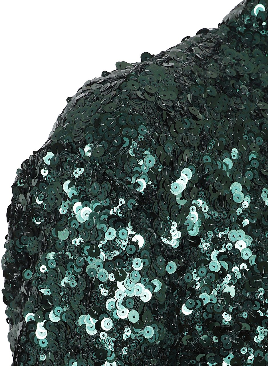 Pinko nascondino abito full mix pail Groen