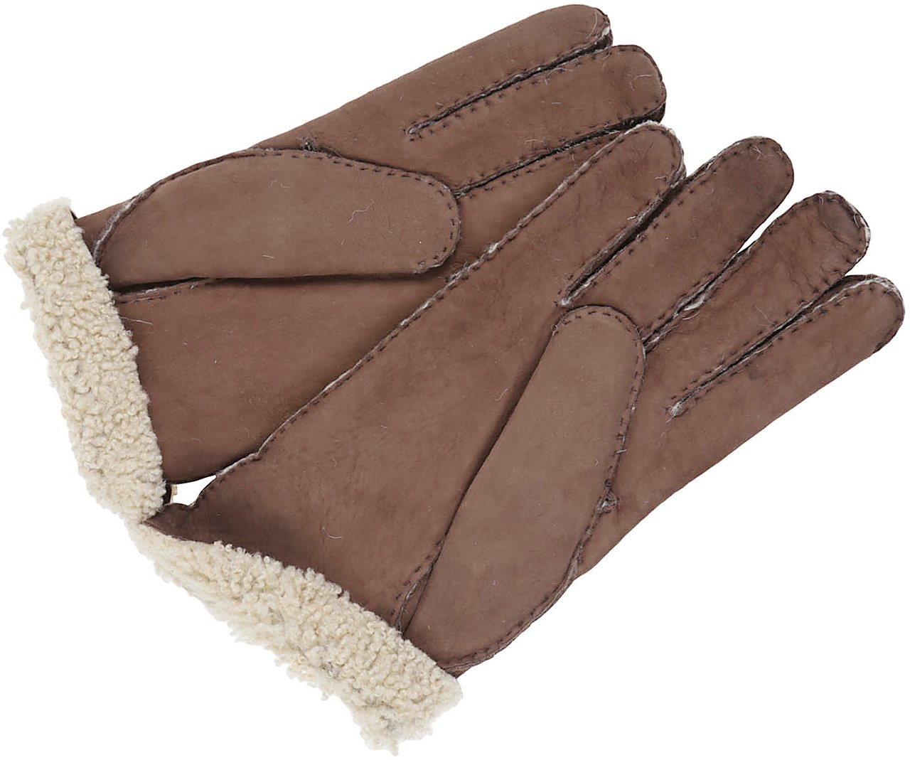 Eleventy guanto glove Bruin