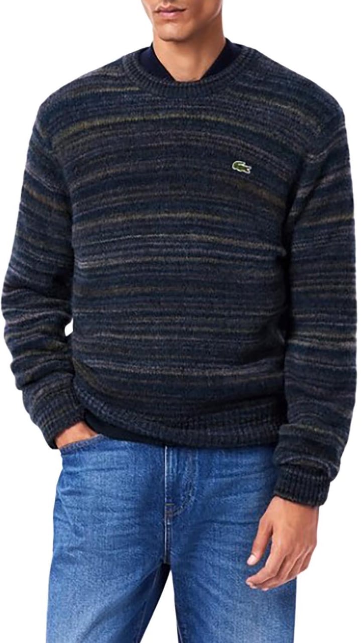 Lacoste Sweaters Divers Divers