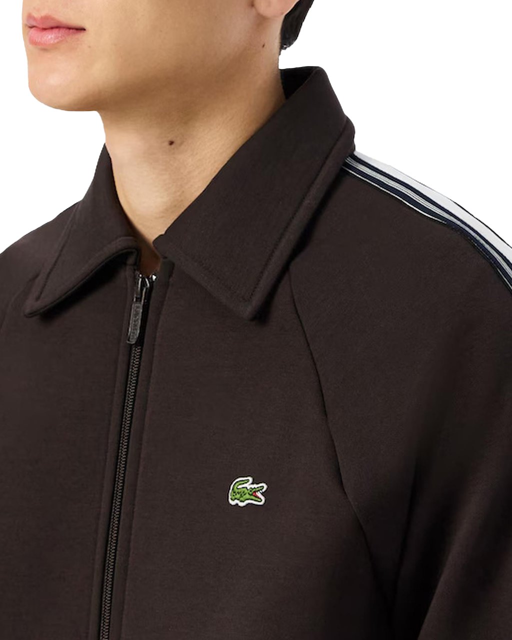 Lacoste Heren Vest Bruin