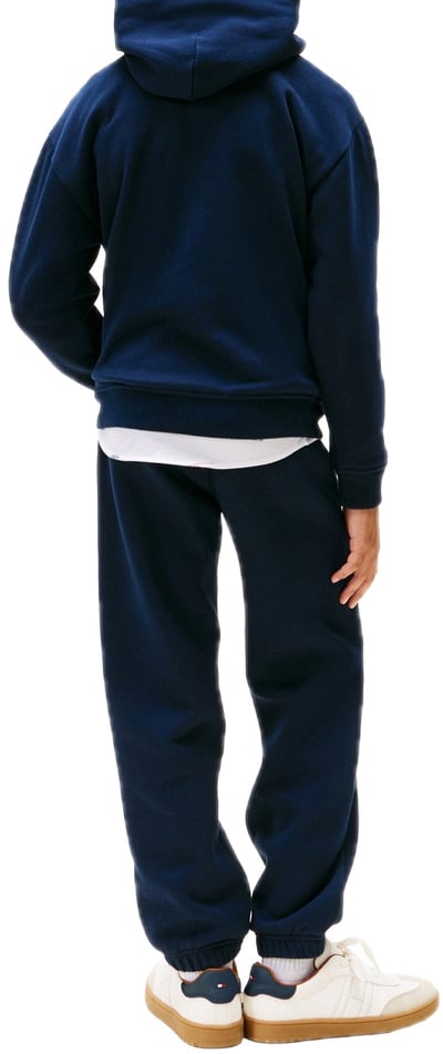 Tommy Hilfiger flag hoodie Blauw