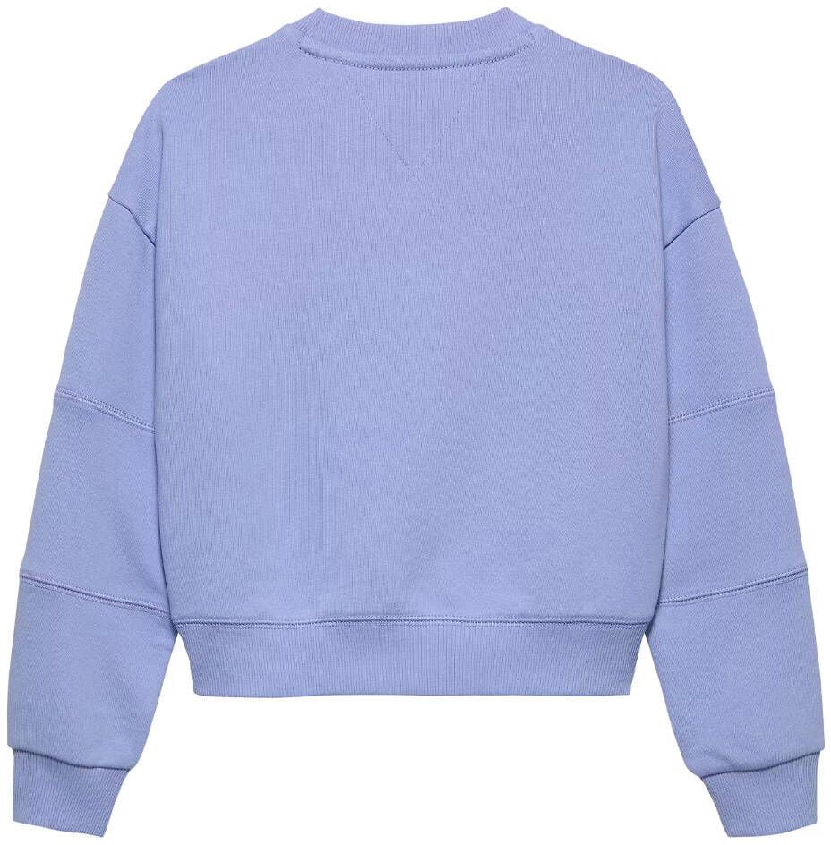 Tommy Hilfiger varsity sweatshirt Blauw