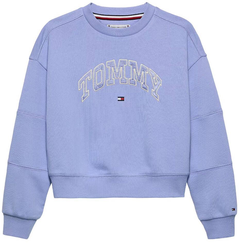 Tommy Hilfiger varsity sweatshirt Blauw
