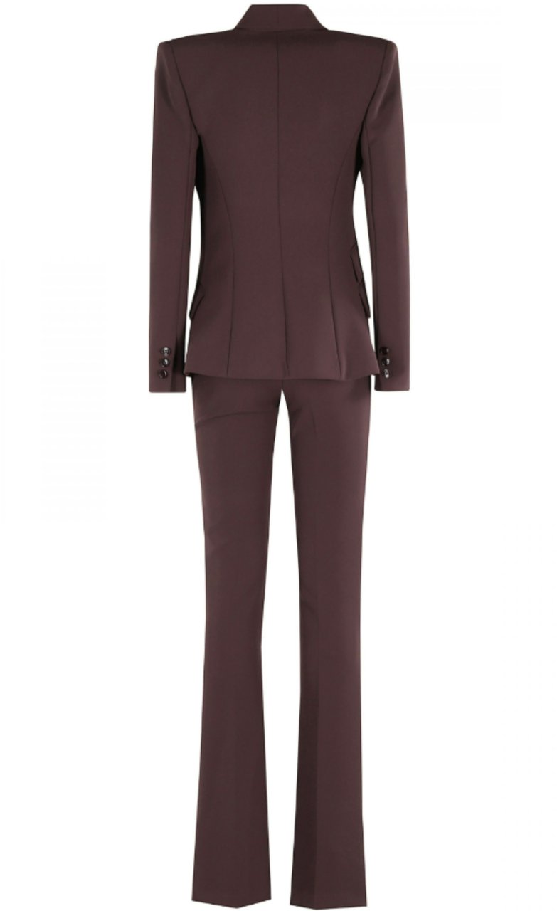 Elisabetta Franchi Dresses Merlot Rood