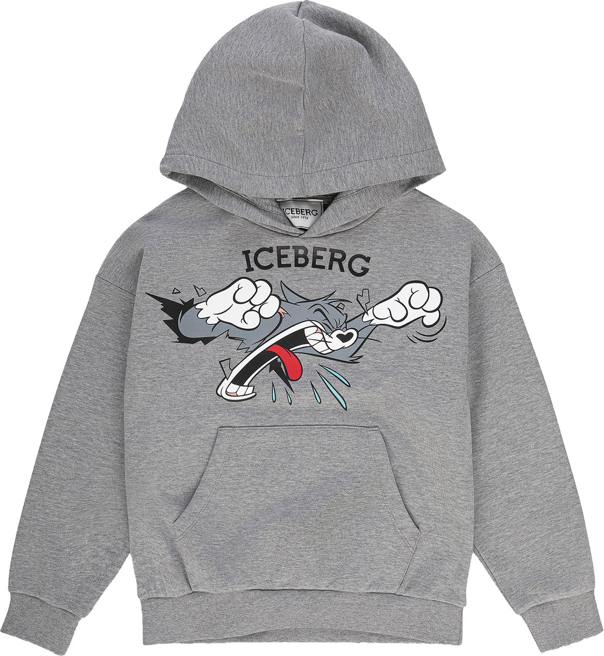Iceberg Hoodie Melange Grijs