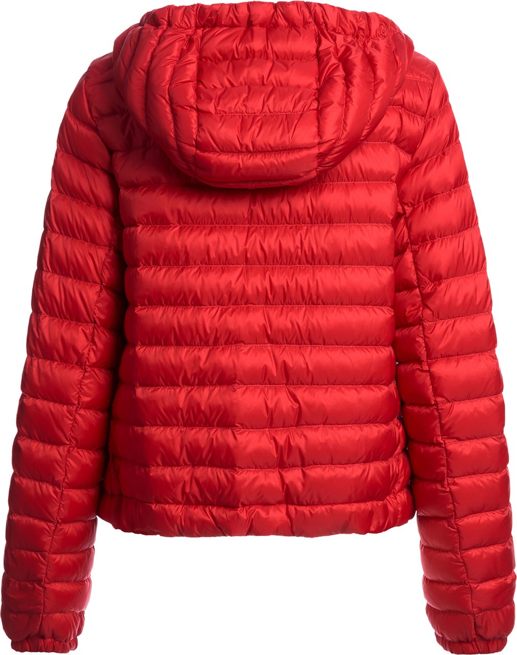 Parajumpers jacket Rory Rood