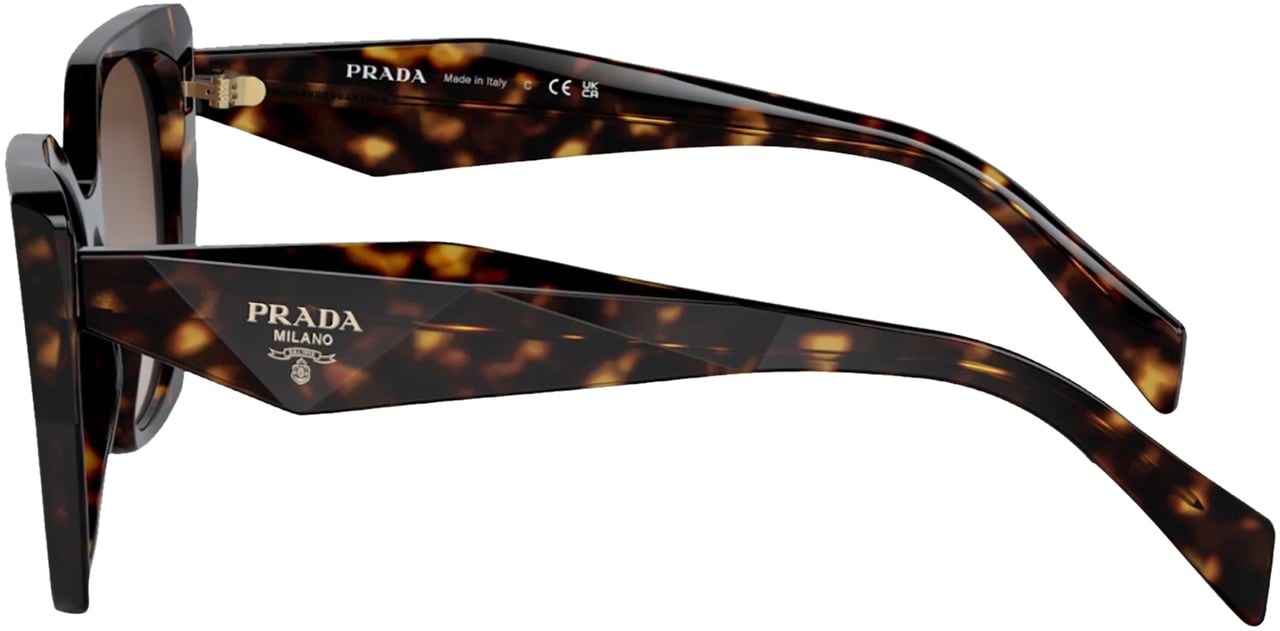 Prada Prada 19ZS SOLE Bruin