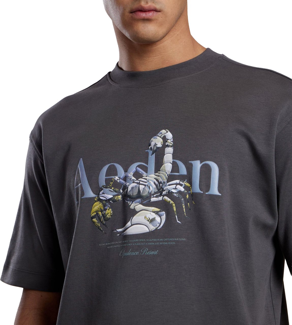 Aeden Maxton Tee Dark Shadow Grijs