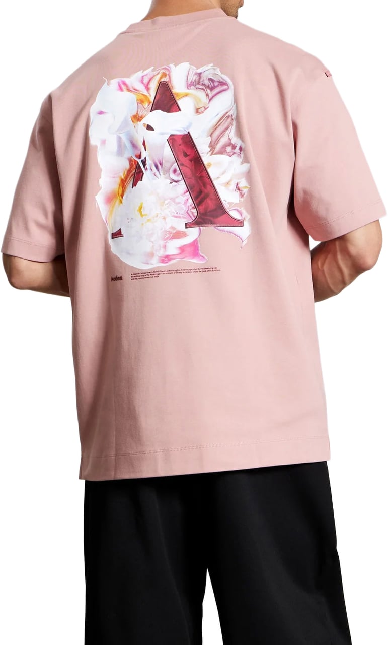 Aeden Evander Tee Ash Rose Roze