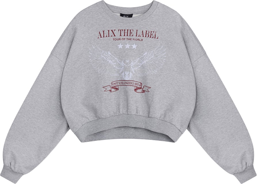 Alix The Label Grey sweater Grijs