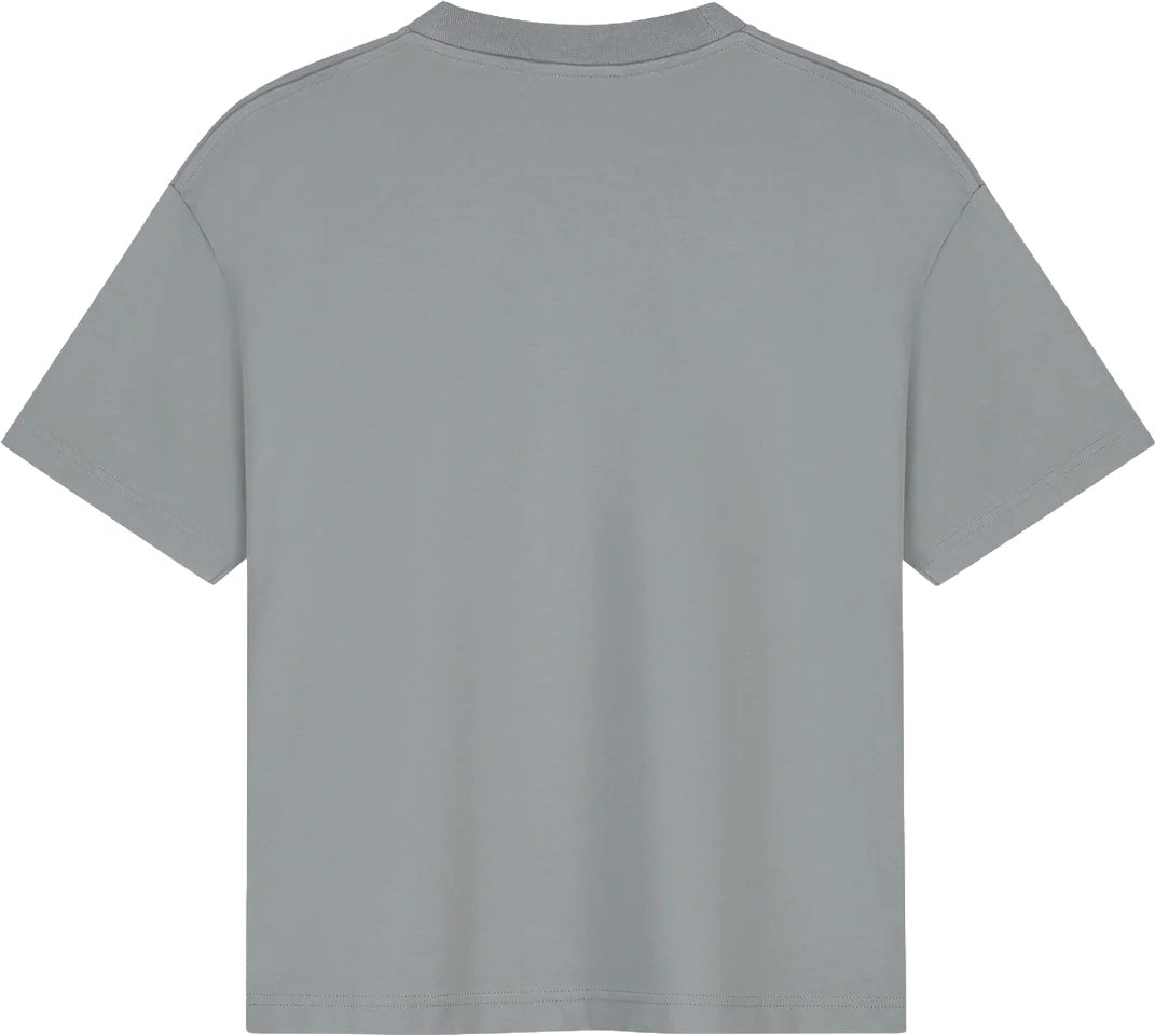 ØLÅF retro logo boxy tee Grijs