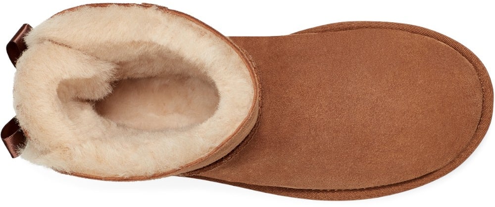 UGG Dames Laars Bruin
