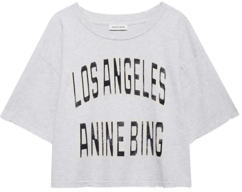 Anine Bing t-shirt grijs Grijs
