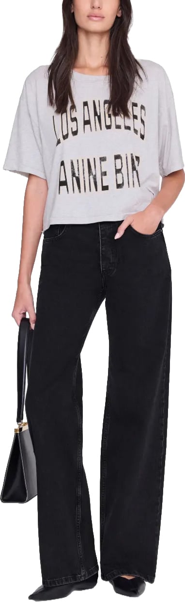 Anine Bing t-shirt grijs Grijs