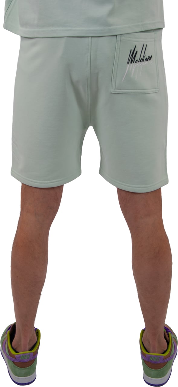Malelions Malelions Men Split Shorts Groen