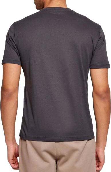 Emporio Armani t-shirt groot logo Grijs
