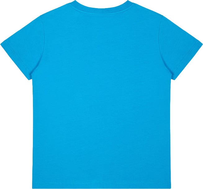 Iceberg t-shirt azzurro Blauw