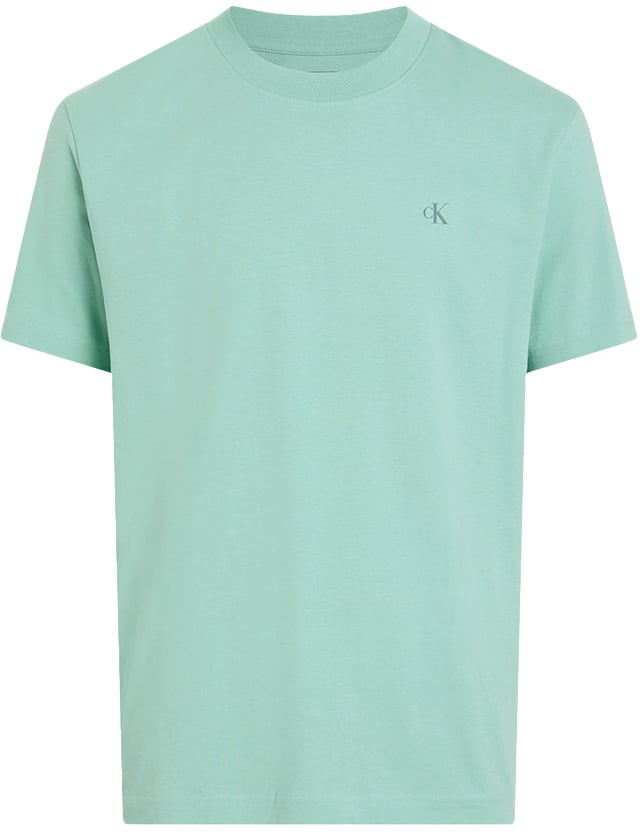Calvin Klein Calvin Klein Jeans Painted Calvin Klein Jeans Tee Blauw