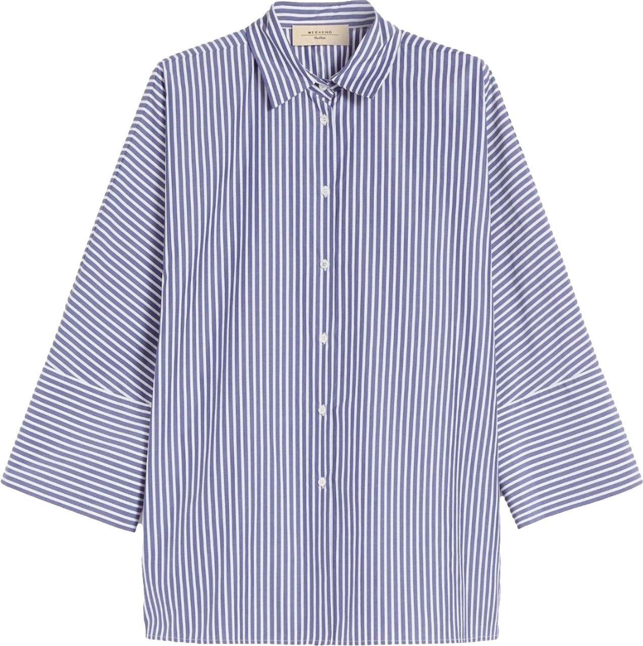 Max Mara Shirts Blue Blauw