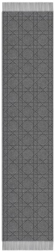 Dior Paph Geometric Pattern Cashmere Scarf Grijs