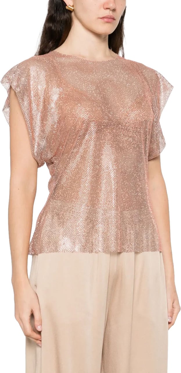 Alberta Ferretti Shimmering Pink Mesh Top with Boxy Silhouette Roze