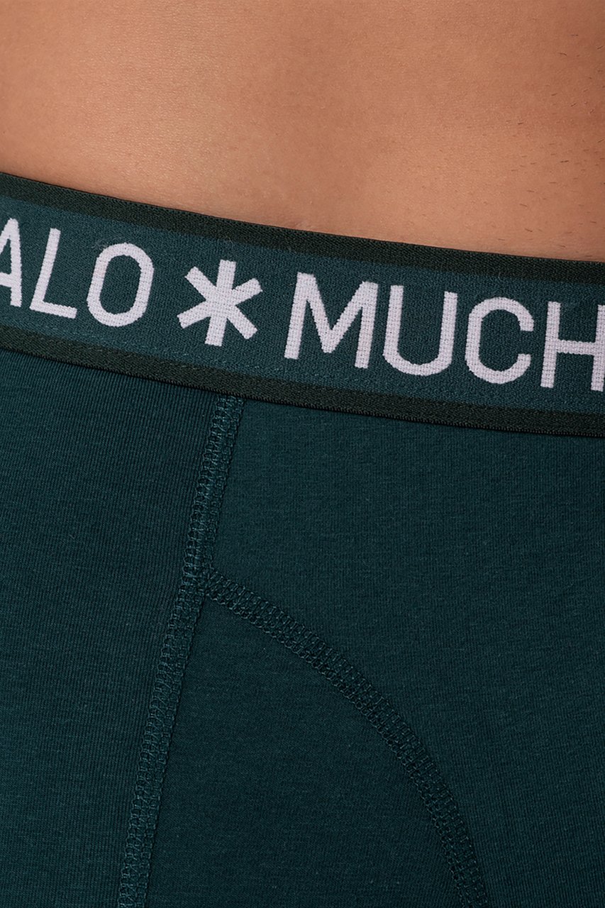 Muchachomalo MUCHACHOMALO Solid1010-613 Groen