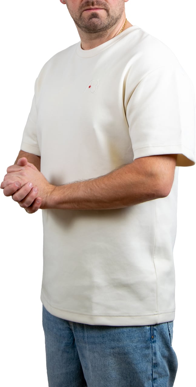 AB Lifestyle AB Lifestyle Regular Fit Tee Beige