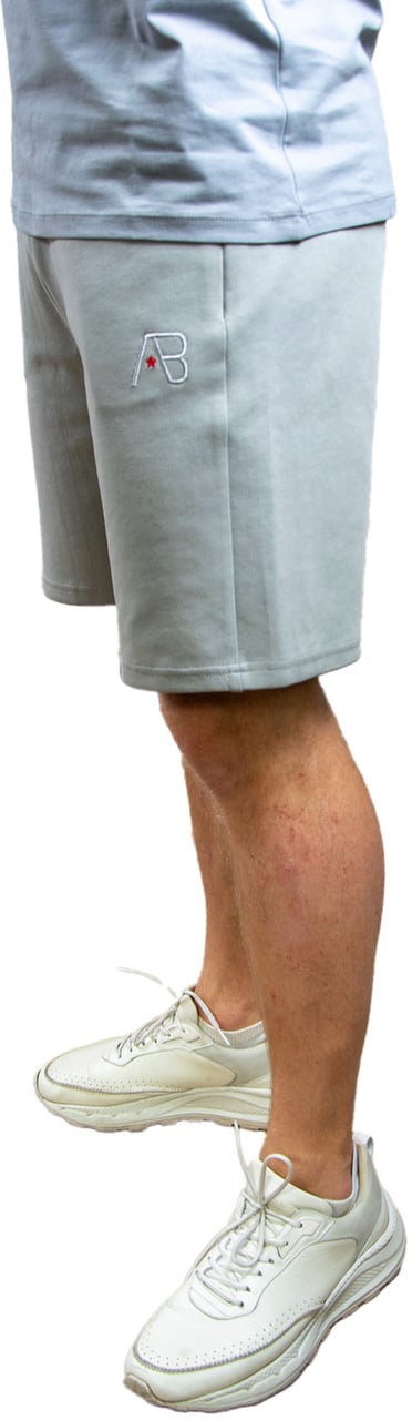 AB Lifestyle AB Lifestyle Regular Fit Short Grijs