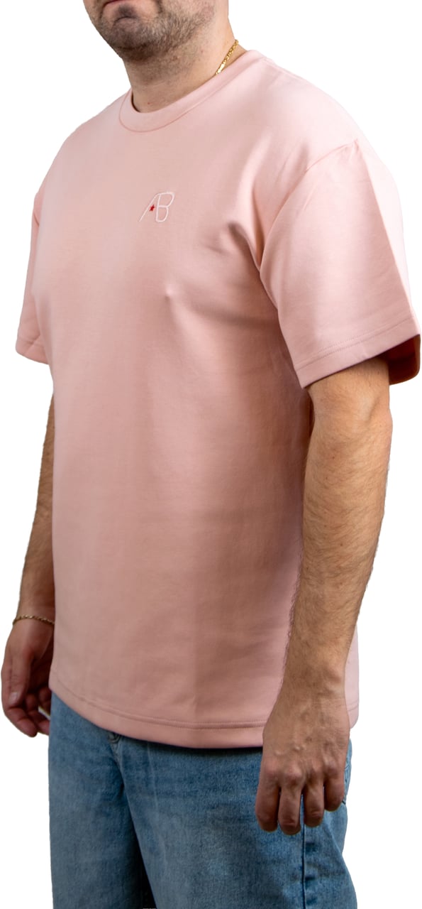 AB Lifestyle Regular Fit Tee Roze
