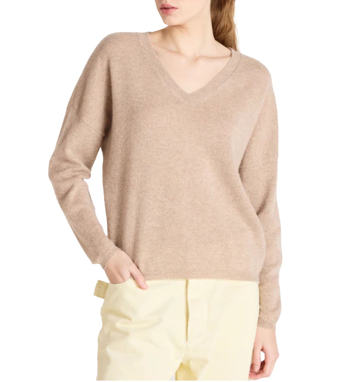 Absolut Cashmere Absolut Cashmere Alicia Truien Bruin Af1a000ws Bruin