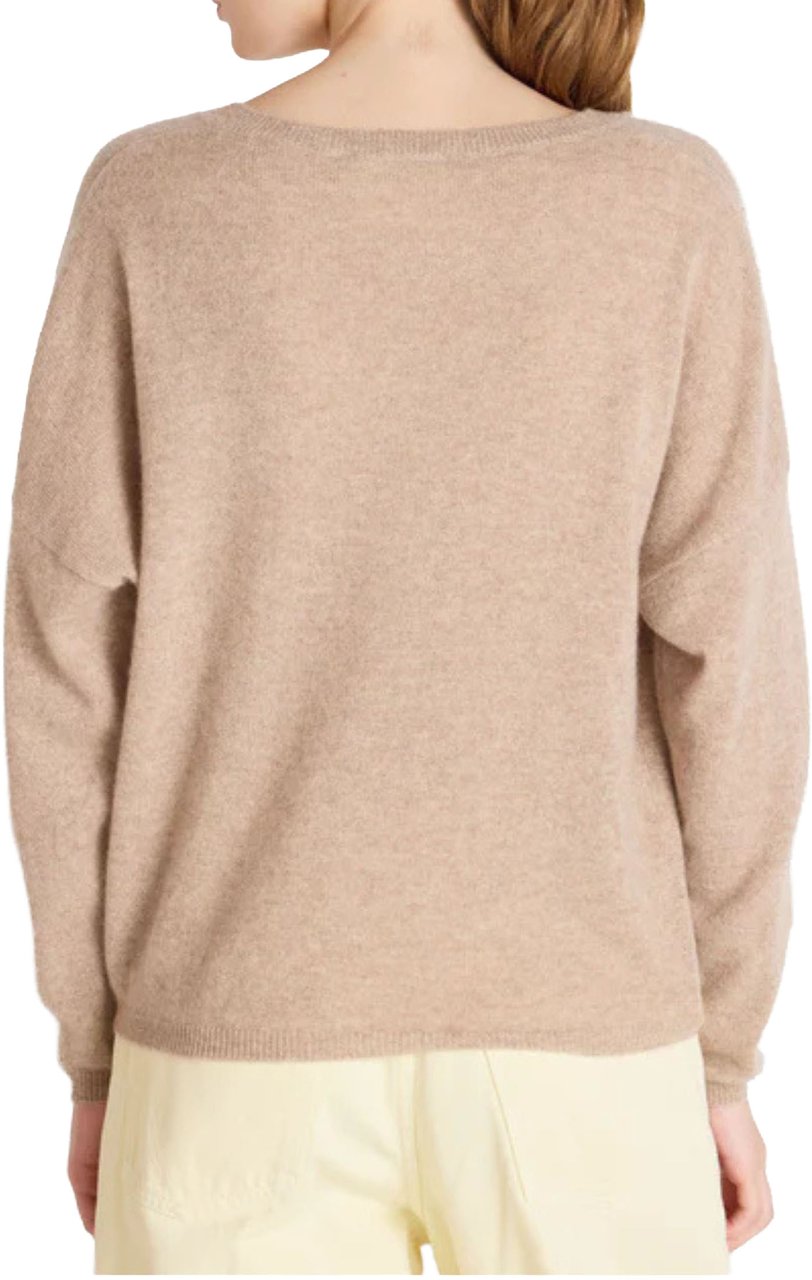 Absolut Cashmere Absolut Cashmere Alicia Truien Bruin Af1a000ws Bruin