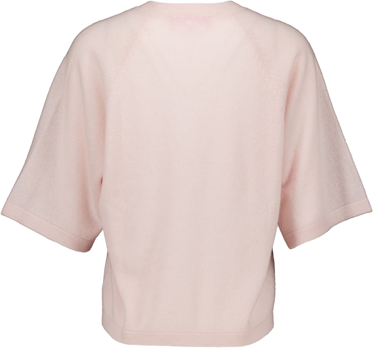 Absolut Cashmere Leana T-shirts Lichtroze Af1f007ws Roze