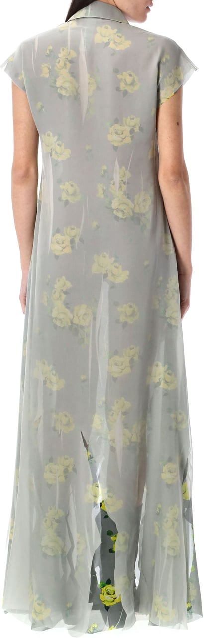 Acne Studios Dranee rose print long dress Geel
