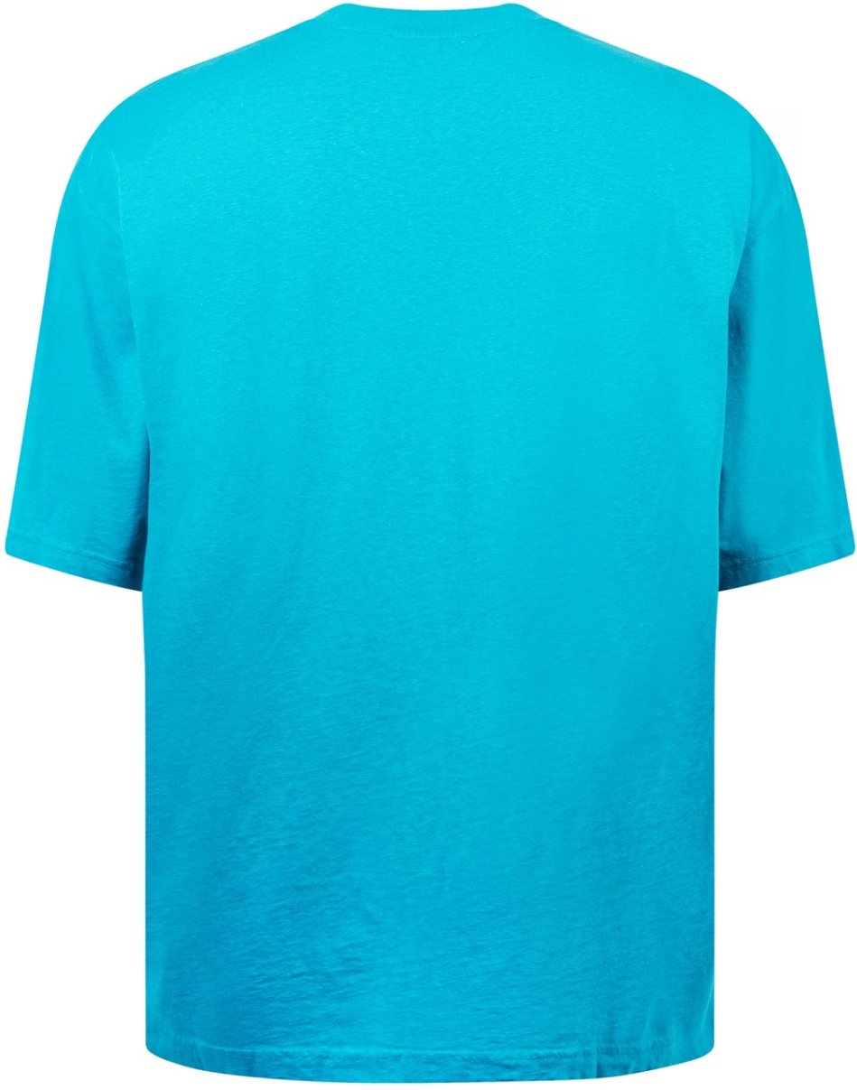 Acne Studios Extorr Devil Logo T-shirt Blauw